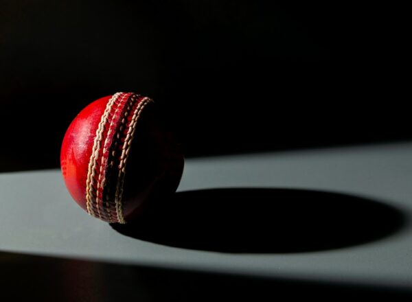 Disability Cricket